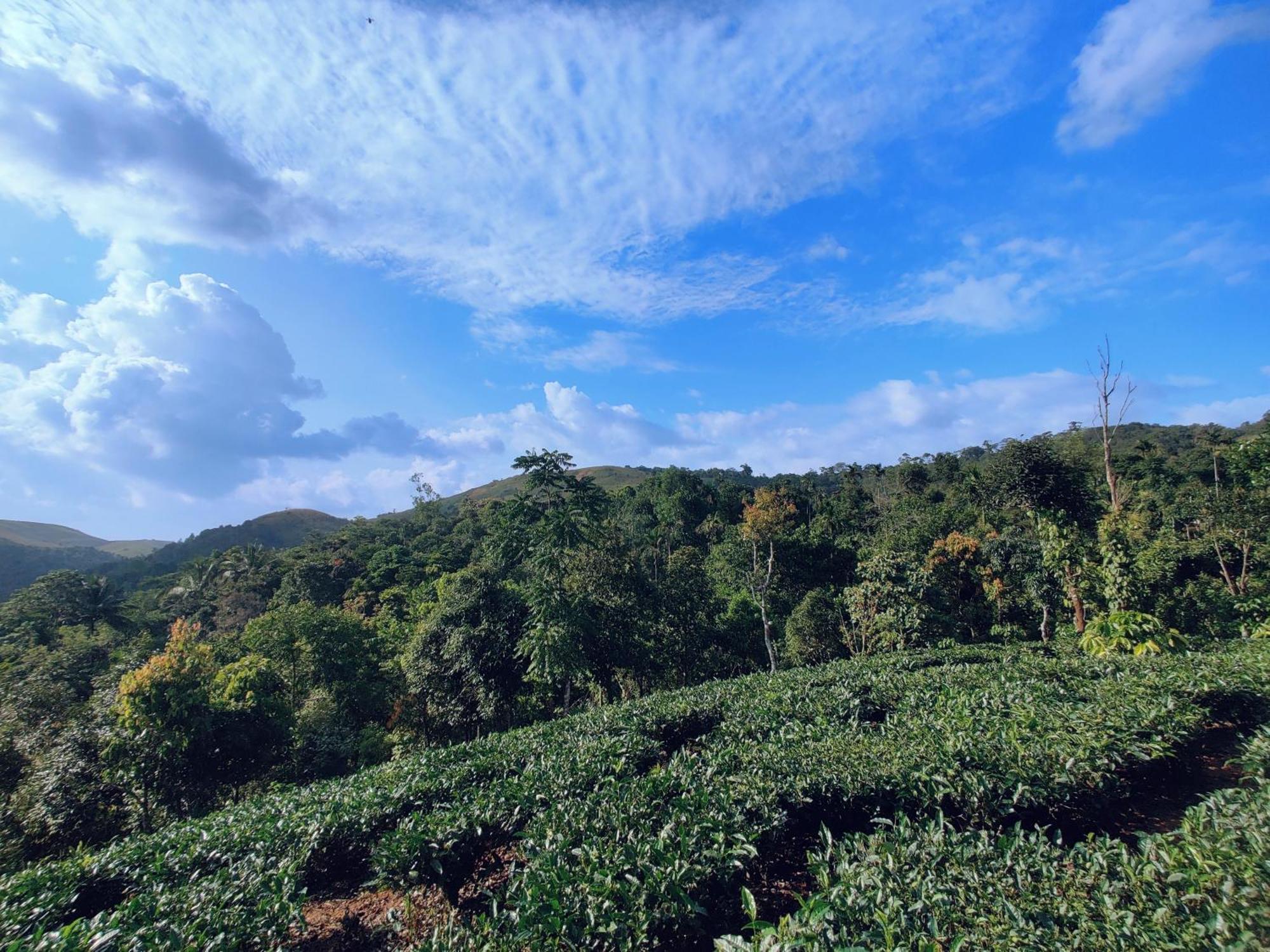 The Vagabond Stays Vagamon Kültér fotó